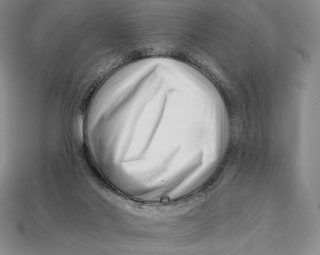 X0000113120022200909181658