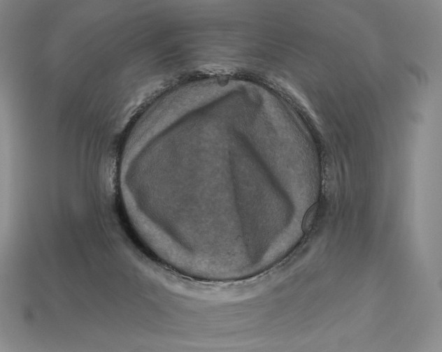 X0000113120023200909181658