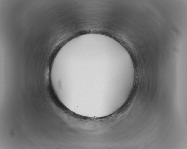 X0000113120024200909181658