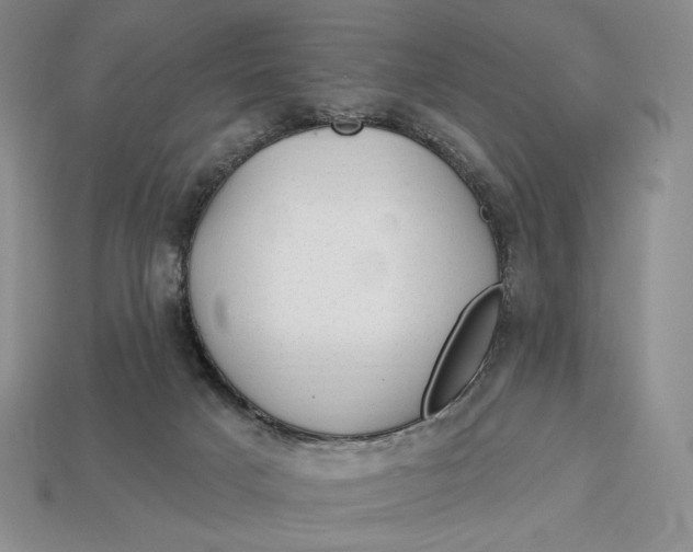 X0000113120025200909181658