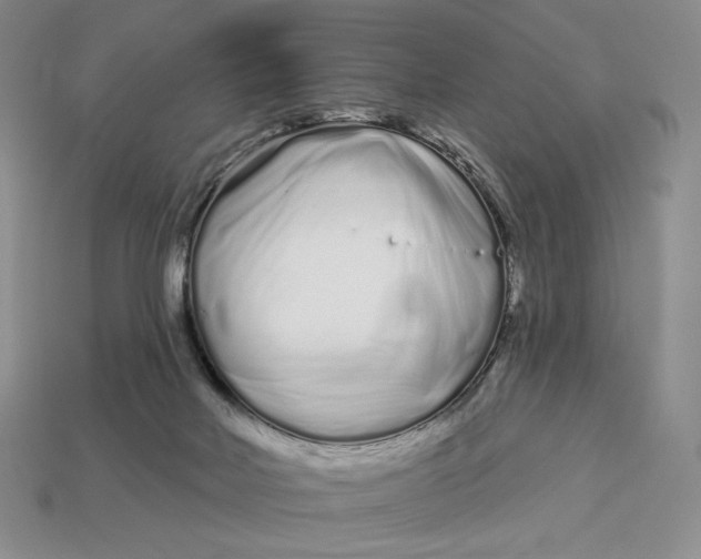 X0000113120026200909181658