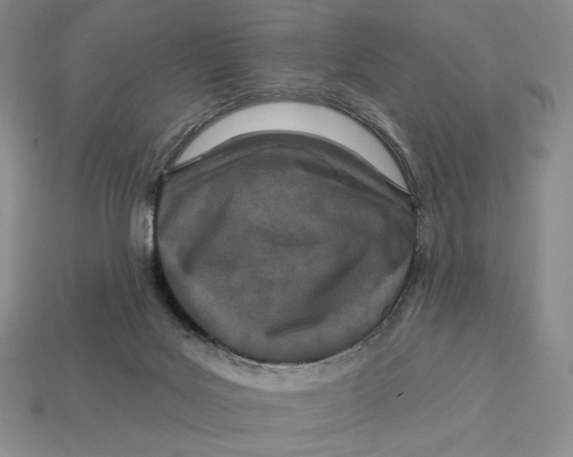 X0000113120027200909181658