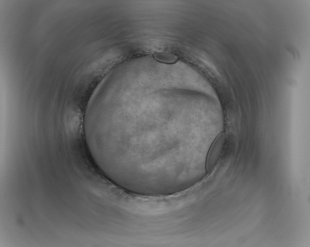 X0000113120029200909181658