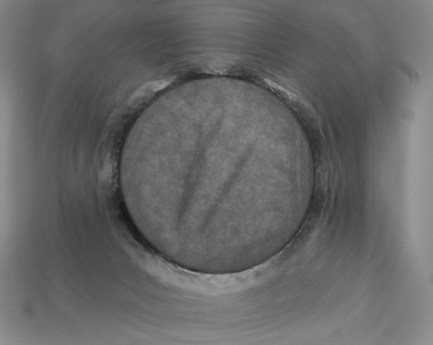 X0000113120031200909181658