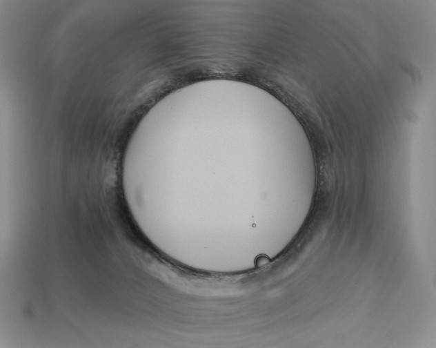 X0000113120032200909181657