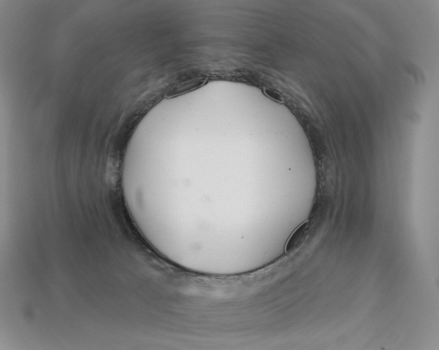 X0000113120033200909181657