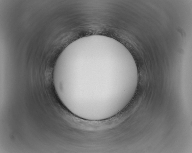 X0000113120034200909181657