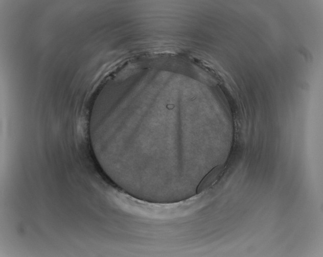 X0000113120035200909181657