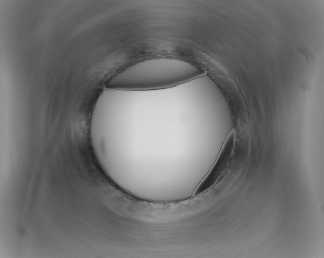 X0000113120037200909181657