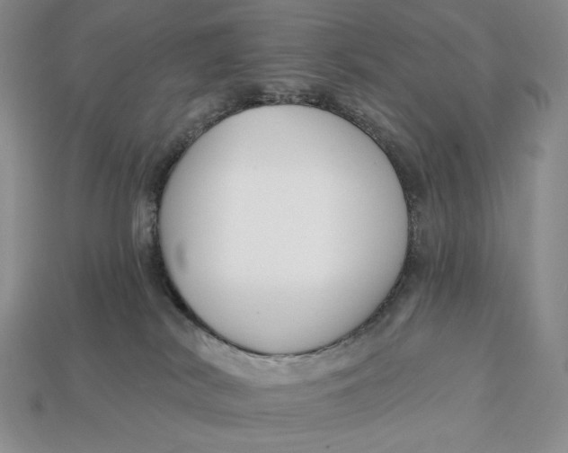 X0000113120038200909181657