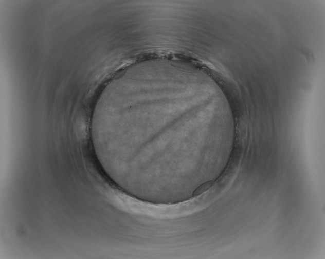 X0000113120039200909181657