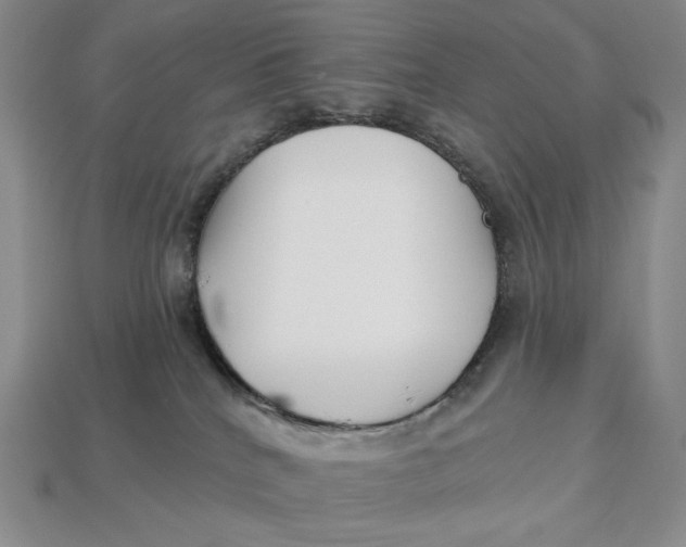 X0000113120040200909181657