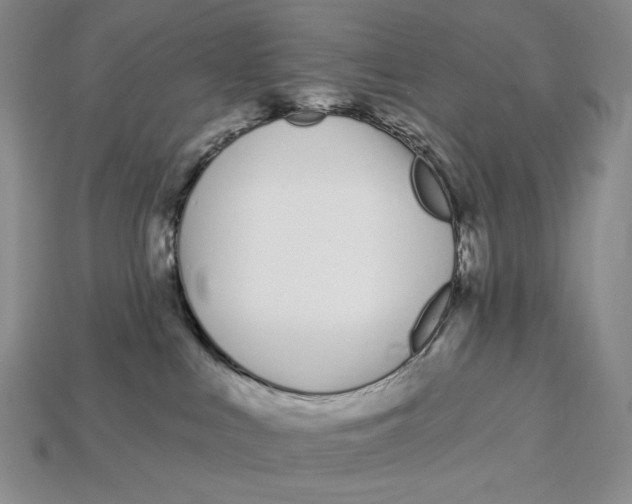 X0000113120043200909181657