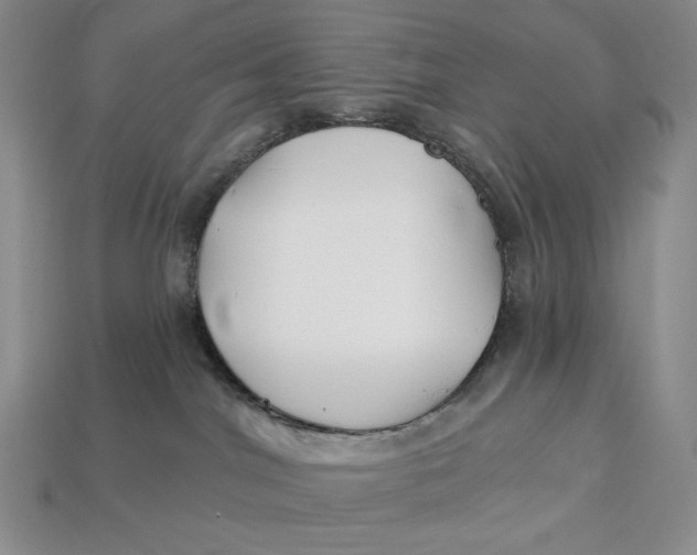 X0000113120044200909181657