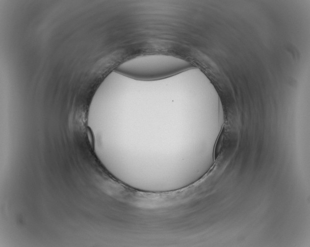 X0000113120045200909181657