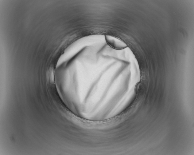 X0000113120046200909181657