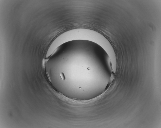 X0000113120047200909181657