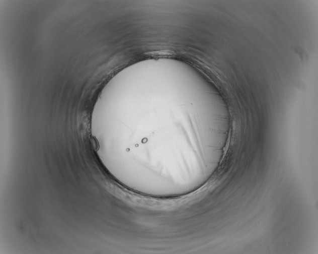 X0000113120048200909181657