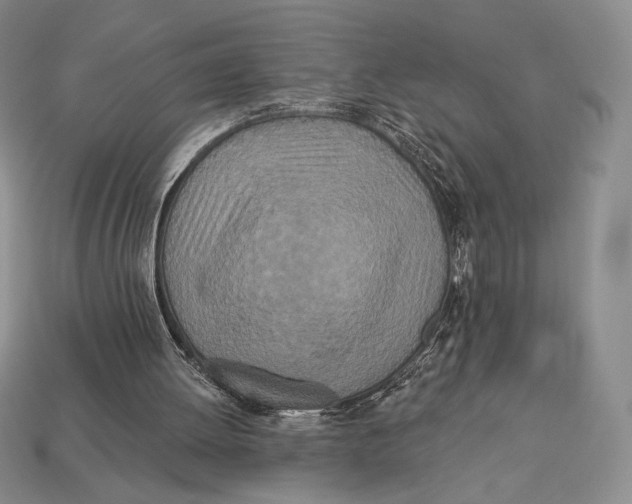 X0000113120052200909181657