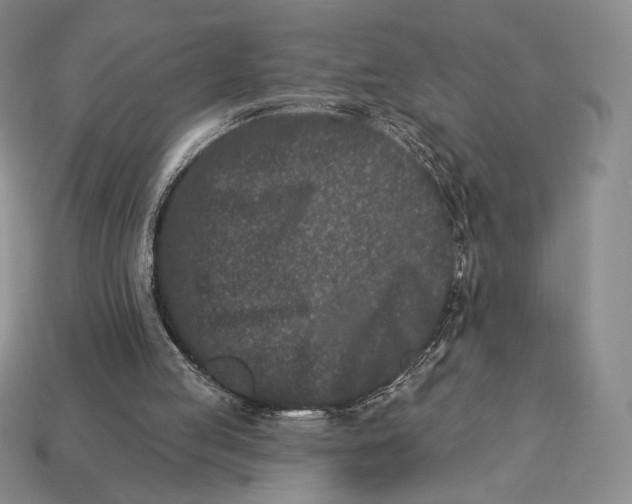 X0000113120053200909181657
