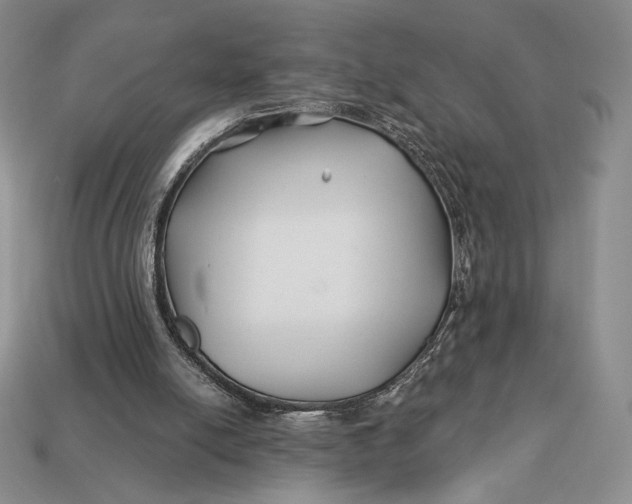 X0000113120054200909181657