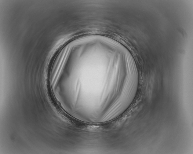 X0000113120055200909181657