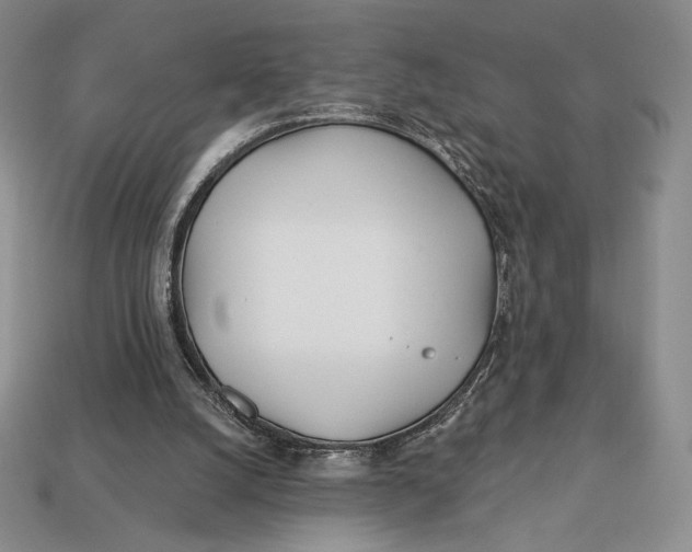 X0000113120056200909181657