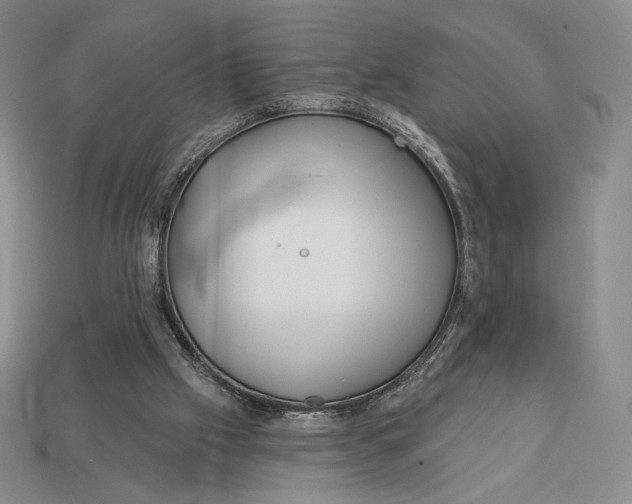 X0000113120057200909181657