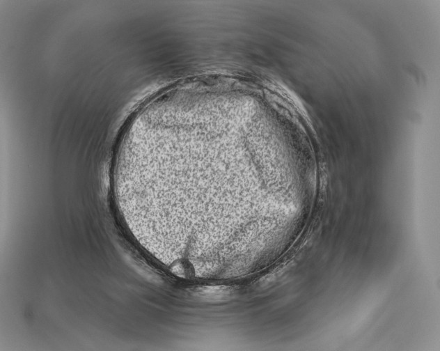 X0000113120059200909181657