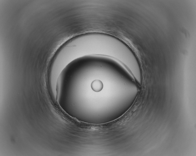 X0000113120060200909181657