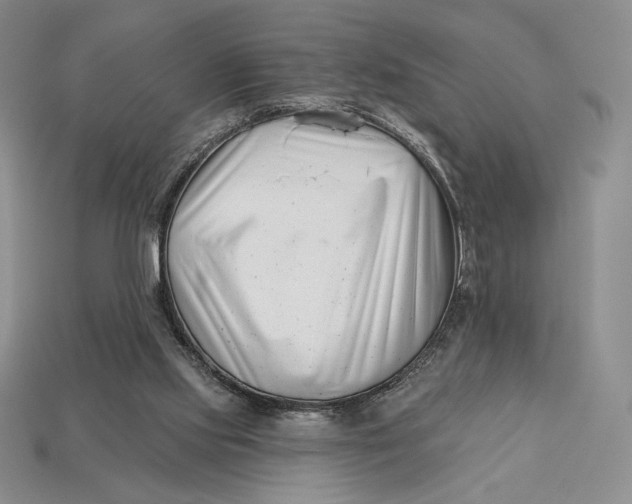 X0000113120061200909181657