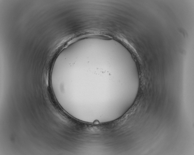 X0000113120062200909181657