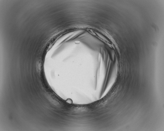 X0000113120063200909181657