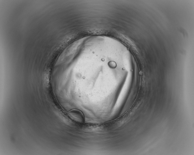 X0000113120065200909181657