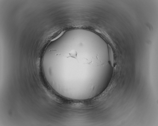 X0000113120066200909181657
