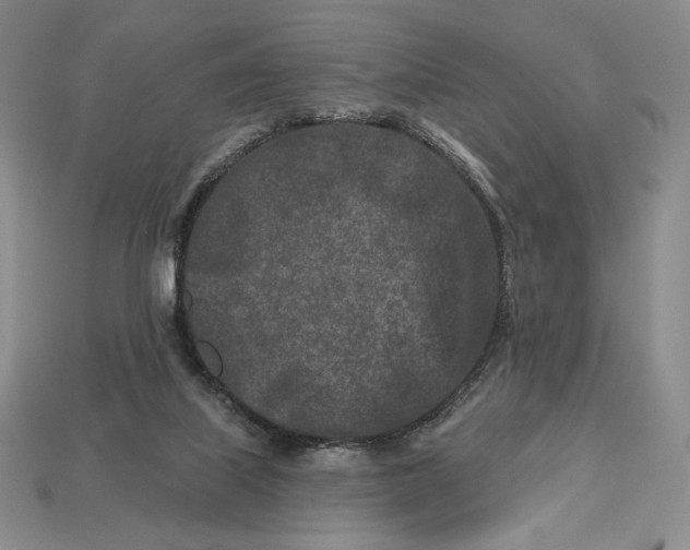 X0000113120067200909181657