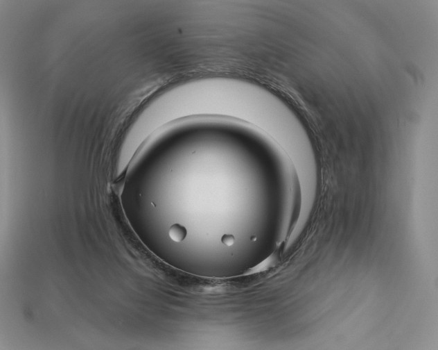 X0000113120068200909181657