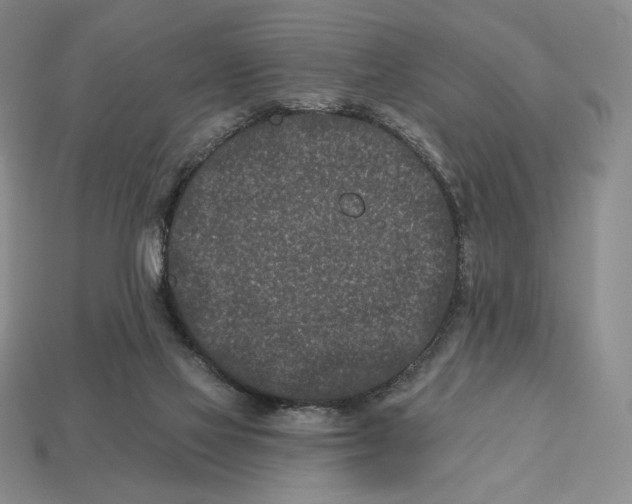 X0000113120069200909181657