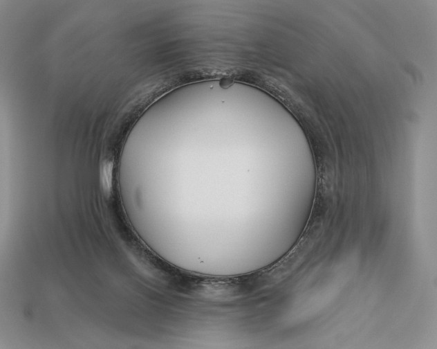 X0000113120070200909181657