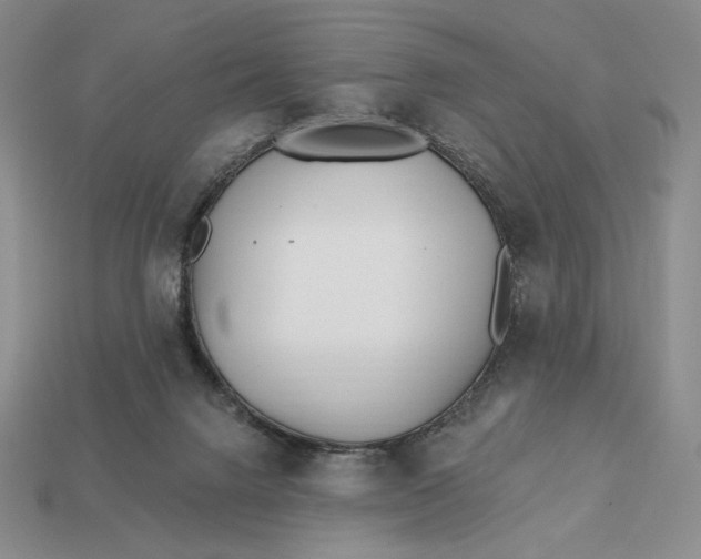 X0000113120072200909181657