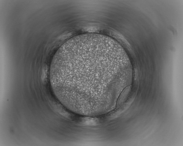 X0000113120073200909181657