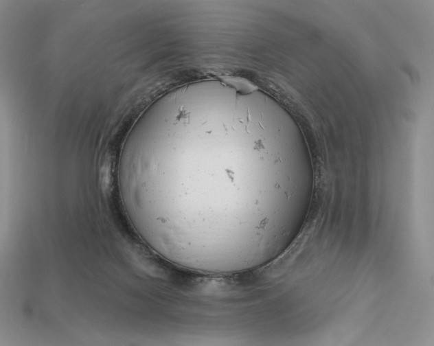 X0000113120074200909181657
