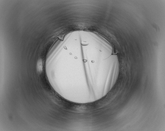X0000113120075200909181657