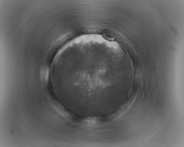 X0000113120076200909181657