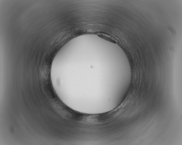 X0000113120078200909181657