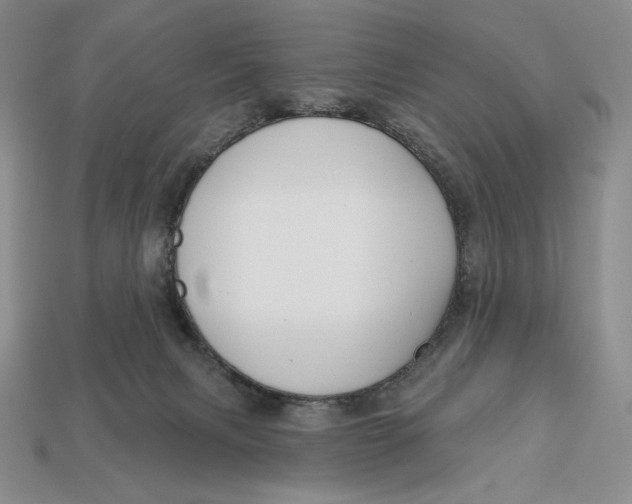 X0000113120079200909181657