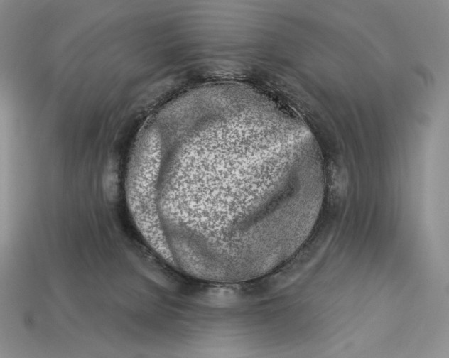 X0000113120080200909181657
