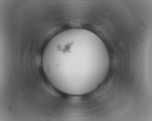 X0000113120081200909181657