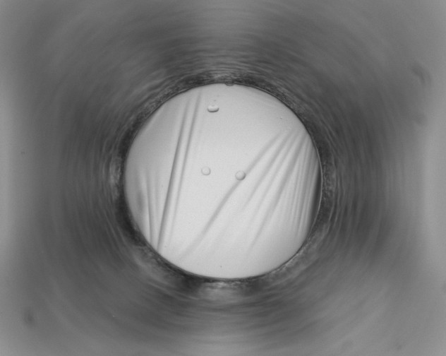 X0000113120082200909181657