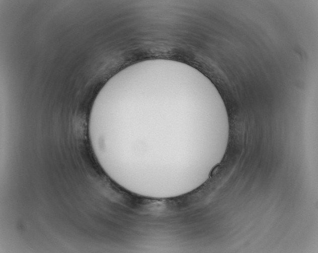 X0000113120083200909181657